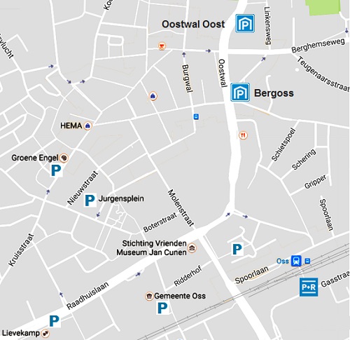 Parkeren Oss